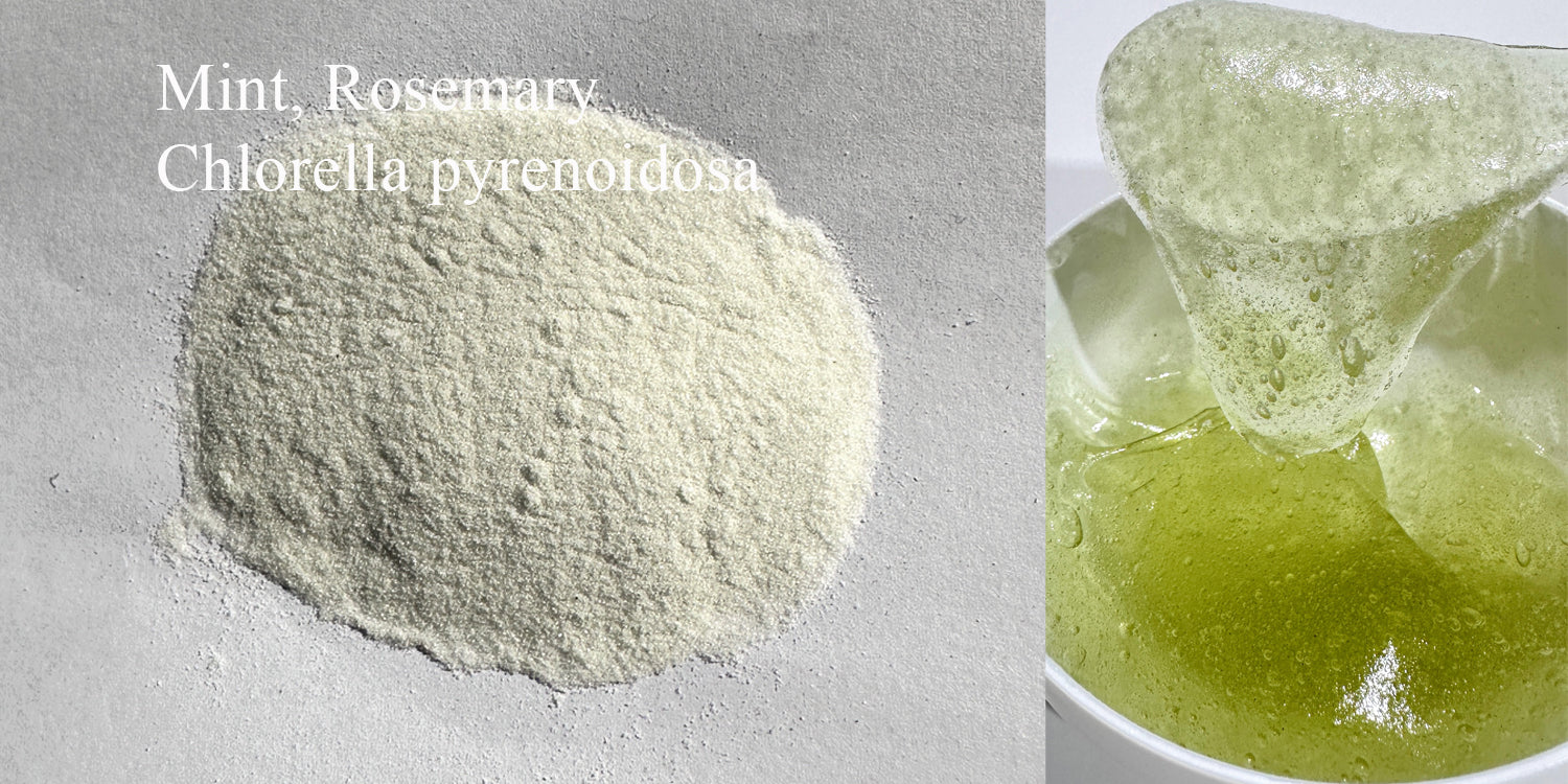 New Orgainc Mint Rosemary Chlorella pyrenoidosa Mask Powder